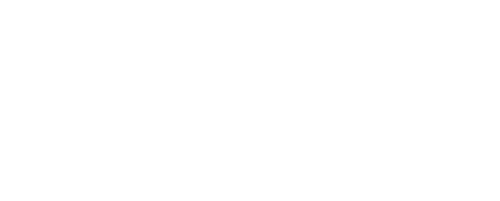 Profiller.pl Logo